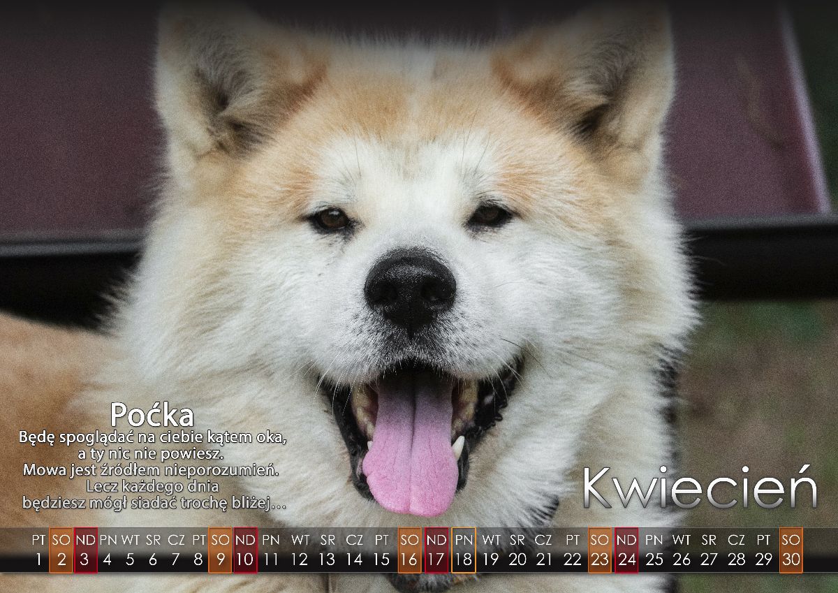 04 Kwiecien2022 copy